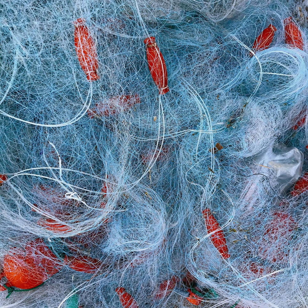 Sustainability built in