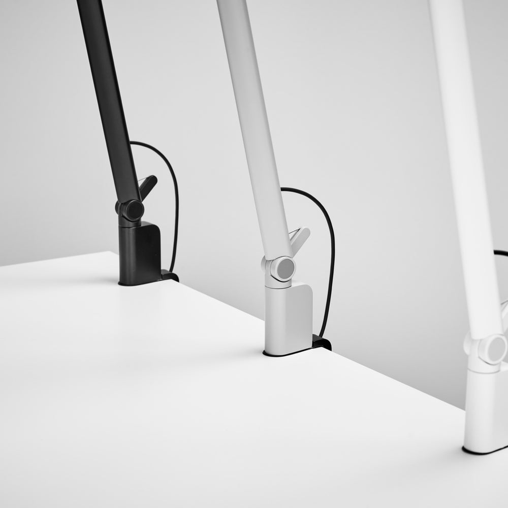 Versatile mounting options